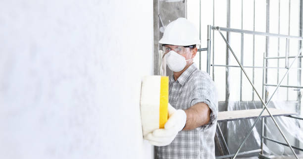 Mold Remediation for Rental Properties