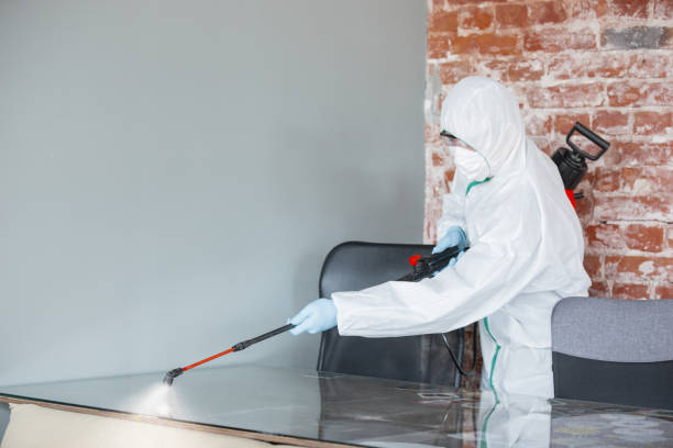 Why You Should Choose Our Mold Remediation Services in New Eagle, PA